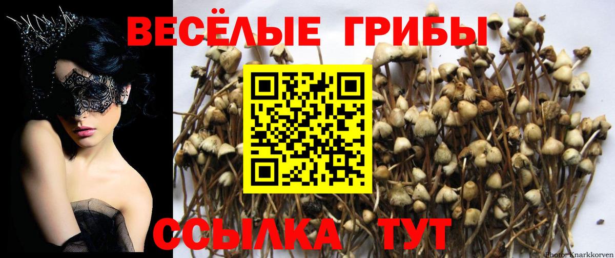 Галлюциногенные грибы мицелий Холмск