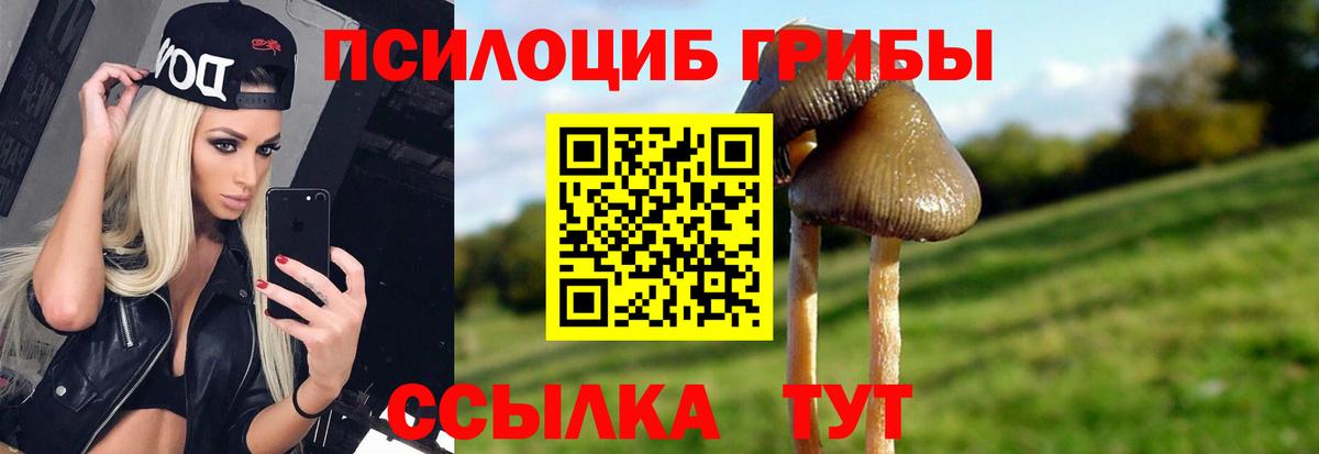 Псилоцибиновые грибы прущие грибы  Вход с VPN  Холмск 